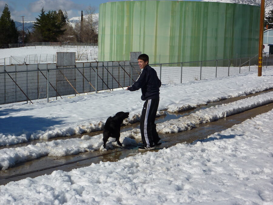 Snow in the yard, January 2010.