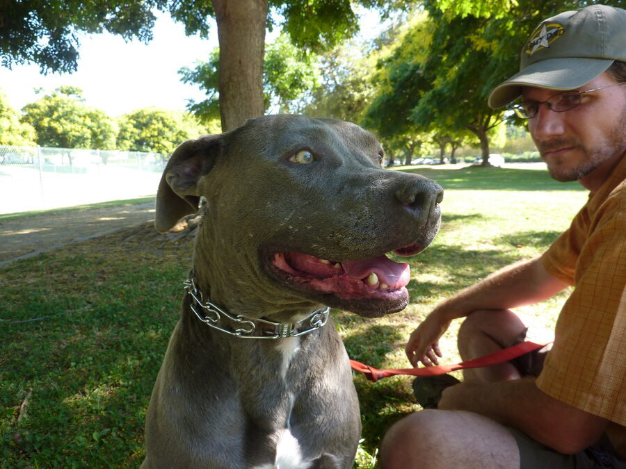 Dog training day, September 2011.