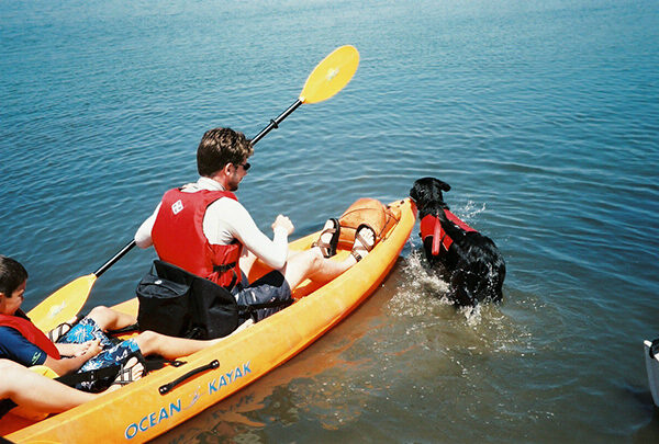 Nala swimming beside the kayak at Newport Dunes, 2004.